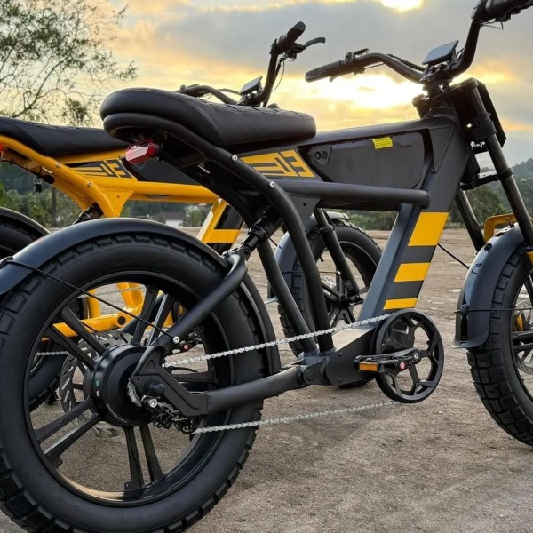 Teste de rifa pitocando premios 1000 numeros